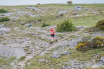 Hutton Roof-96