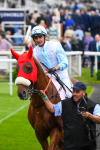 190523-Race 4-Giavellotto-0548