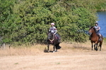 WJ6_7884
