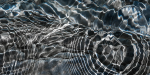 SPLASH #25 - BRUCE COUNTY