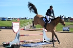 Cls 33, 7yr Old Tour portfolio