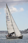 160806 BANYAN GBR9519T Y92A0624