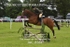 JAC_8381