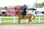 SBM_03329