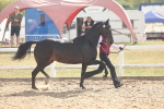SBM_06860