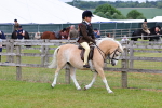 SBM_08484