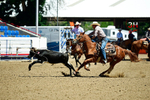 3HRodeo8-11-25_PRCASteer_03471_