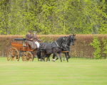 Attelage -423