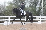 Cls 9 BD Young Horse 5YO portfolio