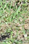 SBM_19556
