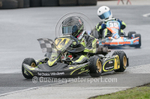 Karting 2017_Winter Race-2-15