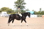 SBM_14185