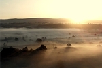 Eden Valley Mists