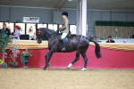 SBM_06293