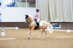 SBM_007732