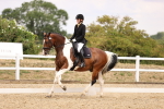 SBM_008762