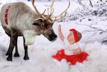 snow scene reindeer