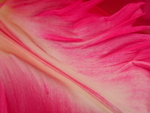 P41403340657