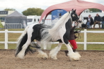 SBM_08499