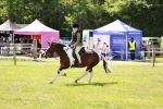 SBM_15478