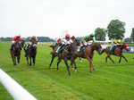 160626-Race 6-Crocus Time-4