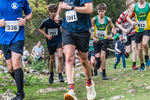 Dovedale-988