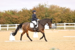 SBM_010290