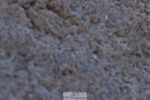 231104A-124245-00538