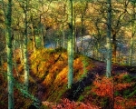 Path to Randolph's Leap