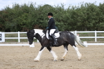 SBM_002212