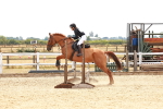 SBM_003987