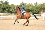 SBM_027050