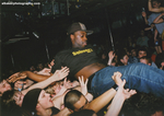 133 tonn-piper crowd-surf
