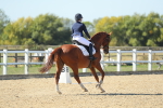 SBM_001809