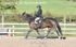BPP_8559