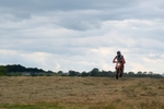 DSCF0953