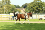 SBM_67483