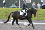SIAL2943