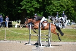 Cls 36 British Novice and 90cm Open portfolio