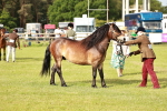 SBM_00497