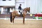 SBM_012295
