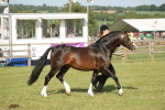 SBM_10385