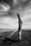 Thornham