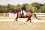 SBM_003591