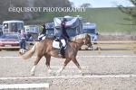 BPP_9969
