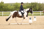 SBM_006831