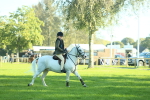 SBM_36273
