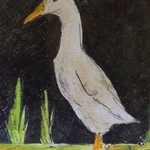 Runner duck