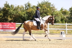 SBM_009310