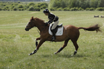 BVHT 140517  NXC -26